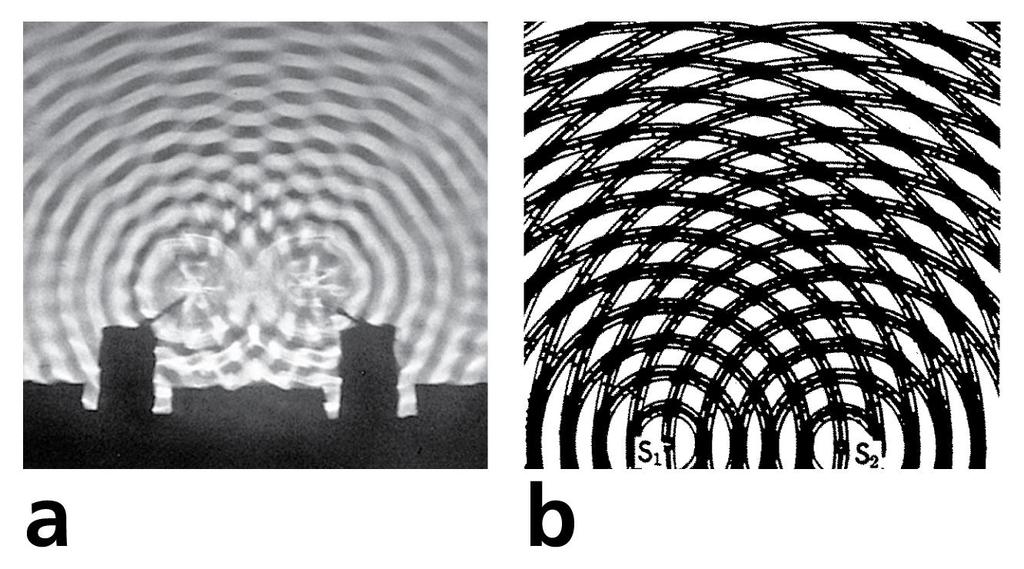 19.7 Interference a. Two overlapping water waves produce an interference pattern. b.