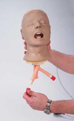 About the Simulator The Life/form Airway Management, Airway Larry, is the most realistic simulator available for the training of intubation and other airway management skills.