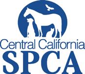 CCSPCA will be out on May 20 & 27.