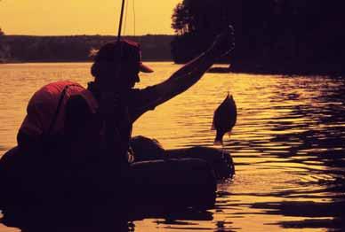 Bluegill, redear and green sunfish can be caught all year long by anglers in the know.