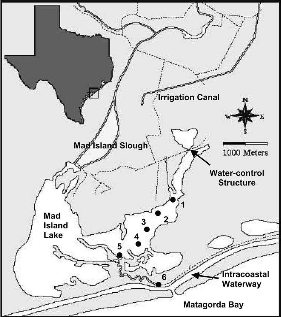 S. Akin et al. / Estuarine, Coastal and Shelf Science 57 (2003) 269 282 271 Fig. 1. Map of MIM on the Texas Gulf of Mexico coast with locations of survey sites.