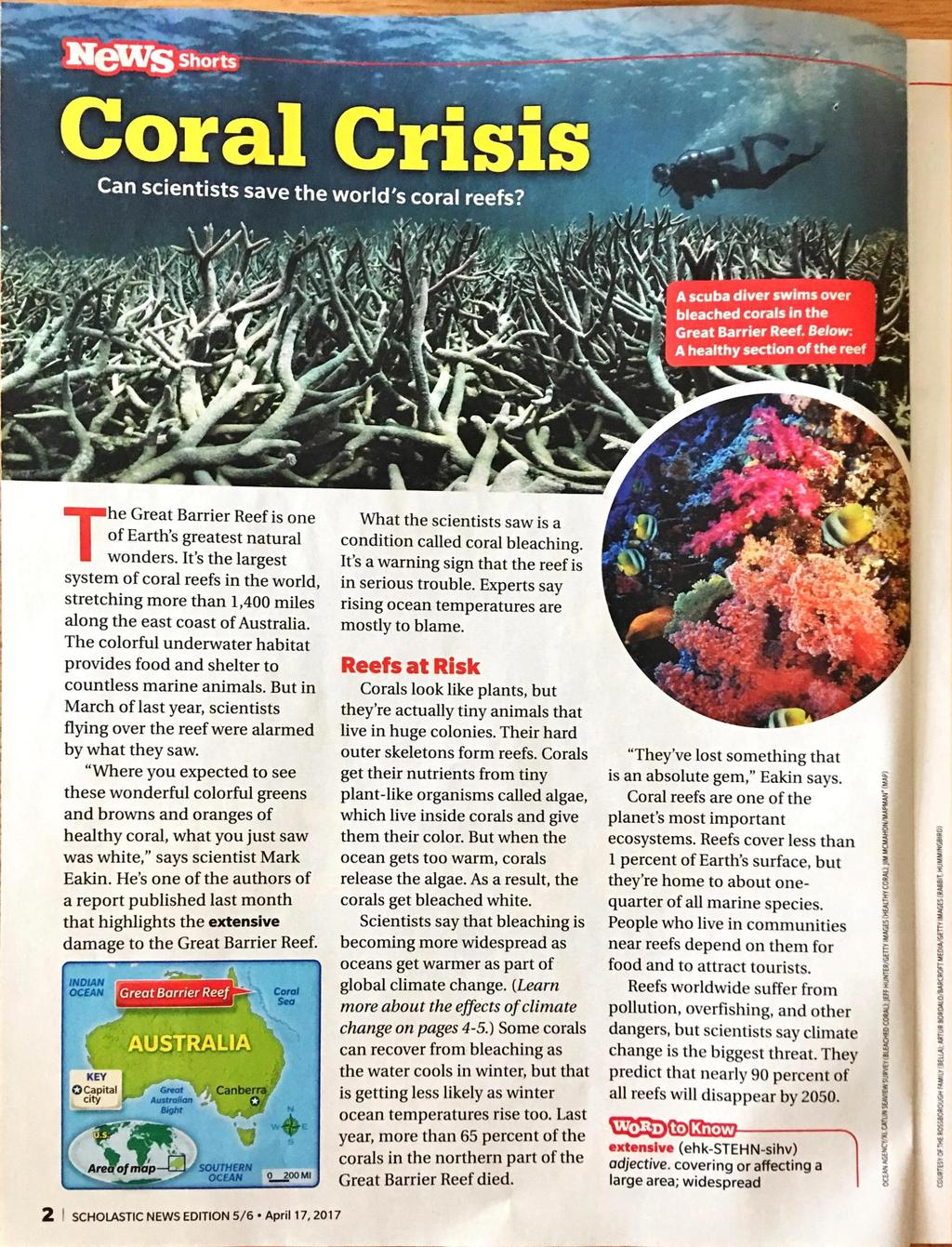 Coral Crisis Can scientists save the world's coral reefs? A scuba diver swims over bleached corals in the Great Barrier Reef.