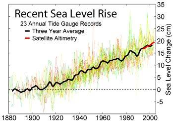 Large-Scale Coastal Erosion - Causes 1) Global rise in sea level - sea level rose through last century by 2-3 mm per
