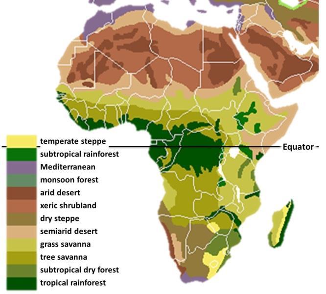ANNEXES OTHER TAXA 6.1 INTRODUCTION The distribution of African species is far from even. There are important concentrations, or overlaps of species distributions, in key areas.