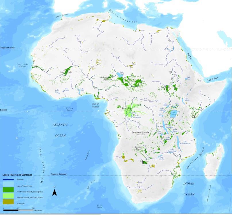 Evergreen forests occur in the Congo basin, southern fringes of West Africa, east coast of Madagascar and on some of the higher isolated mountain ranges of the continent.