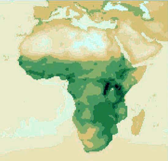 ANNEXES OTHER TAXA 6.3 DISTRIBUTION OF MAMMALS The EU funded African Mammals Databank (AMD) project has mapped and analysed the distribution of all mammals species.