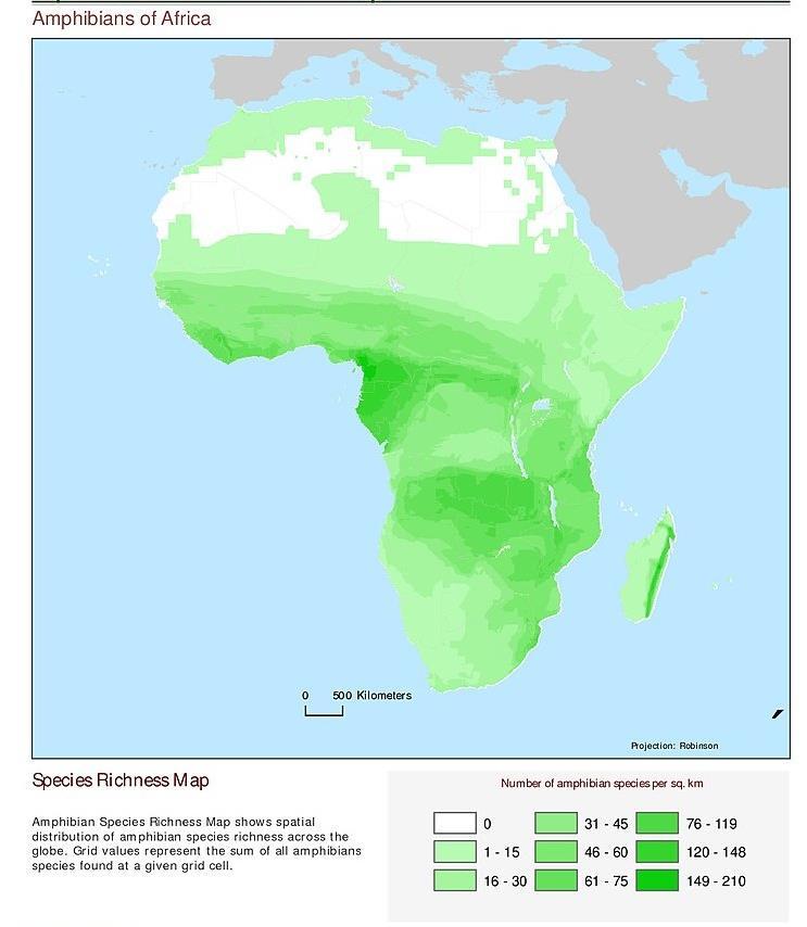 ANNEXES OTHER TAXA 6.7 AFRICAN GREAT APES One group of particular concern are the great apes Man s nearest living relatives.