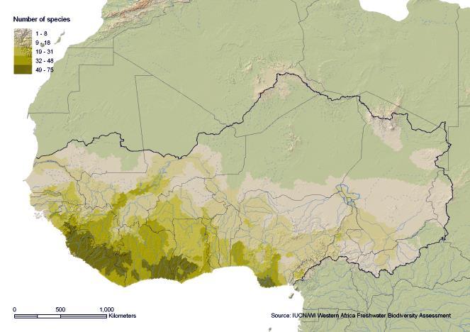 Fish richness in West Africa 6.9 DISTRIBUTION OF INSECTS Figure 26. Butterfly richness Figure 25.