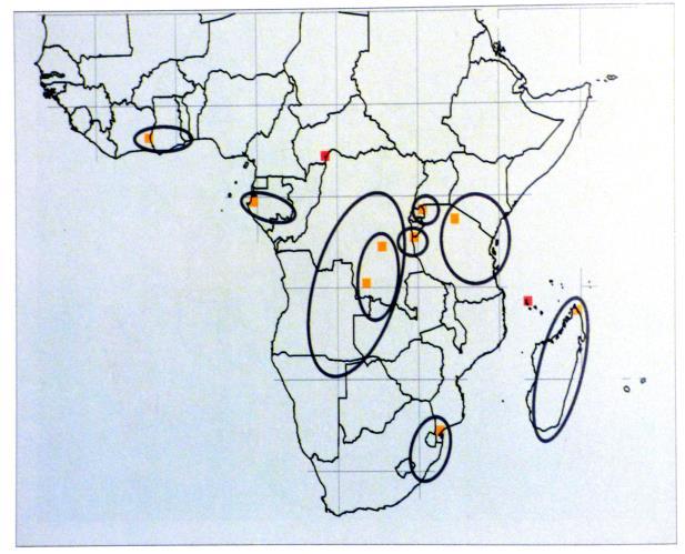 ANNEXES OTHER TAXA swallowtails (Graphium spp) 127 (Figure 26). Figure 27 analyses this distribution and leads to identification of key regions for their conservation.