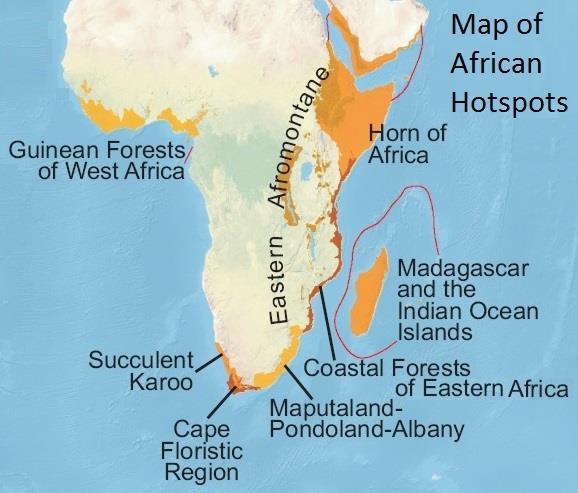 ANNEXES OTHER TAXA By overlaying information of distinct landform units and species distributions and centres of endemism, biogeographers have tried to classify Africa into a large number of