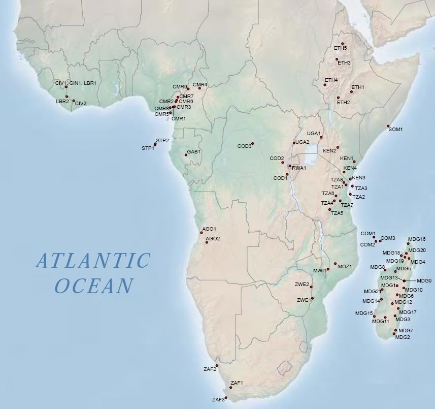 ANNEXES OTHER TAXA Eastern Afromontane. The mountains of the Eastern Afromontane hotspot are scattered along the eastern edge of Africa, from Saudi Arabia in the north to Zimbabwe in the south.