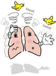 Breathing with the Belly (Diaphragmatic Breathing) The diaphragm is the muscle that makes you breathe. When the diaphragm contracts, the lungs expand and fill with air.
