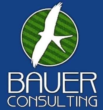 BAUER CONSULTING Bauer Consulting is a visionary company built for those striving for excellence through innovation and education Bauer provides complete services in sport and