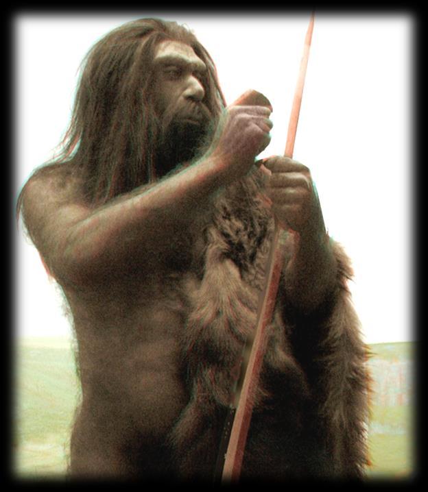 Neanderthals to be a sub-species of Homo
