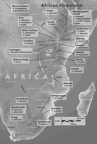 Hominid Sites Earliest fossil hominid sites are in Africa They now span the latest Miocene to the early Pleistocene