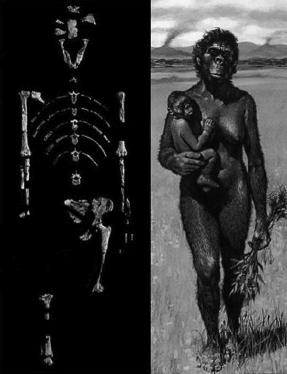Ethiopia = Middle Awash valley & Hadar (Australopithecus afarensis) 2. Kenya = Lake Turkana 3.