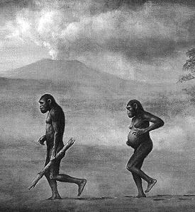 2 early hominids walk bipedally across an open ash field produced by an erupting volcano.