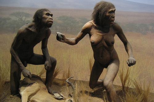 Homo ergaster was the first fully bipedal, largebrained hominid The species existed between 1.9 and 1.