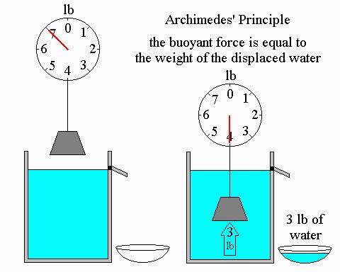 Archimedes Principle " An object is buoyed up by a force equal to the weight of the fluid displaced.
