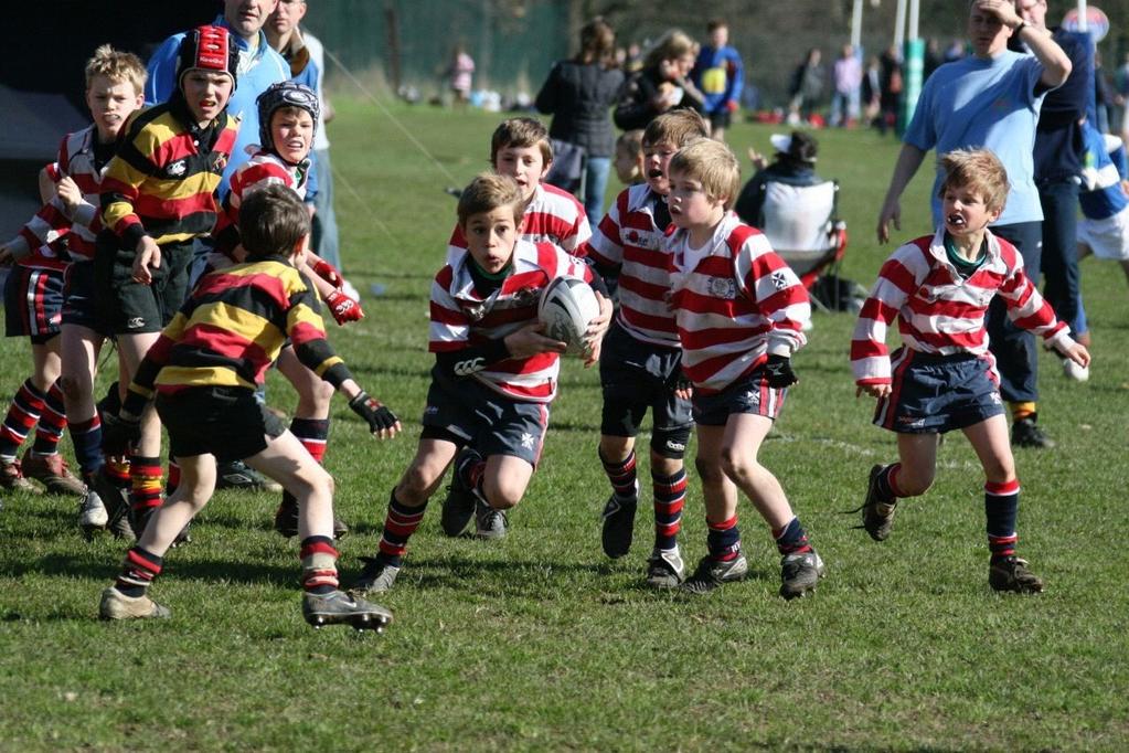 MINI & JUNIOR RUGBY Rosslyn Park has one of the largest and most successful minis section in England with over 800 children aged U5-U12. National Champions in 3 age groups.