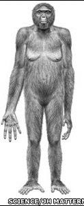 Ardipithecus Found in Ethiopia First specimens found in early 1990s, major findings released in October 2009