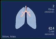 Understand lung mechanics The Dynamic Lung