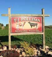 the Mid-American Auction staff for their time and energy spent making our dispersal a success. -Todd and Jean Welcome to the TJ-Pollema Registered Holstein Complete Dispersal Auction.