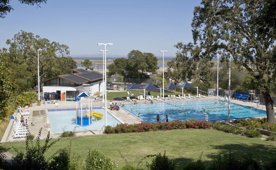 In lieu of a single multi-purpose swimming pool the City could consider the removal of the two existing pools is replacing them with two modern pools.