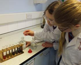 Year 8 Investigate Concentration in Science 8 alpha