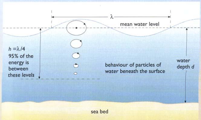 The water molecules in an ocean wave move in circles. The behavior of waves depends largely on the relationship between a wave's size and the depth of water through which it is moving.