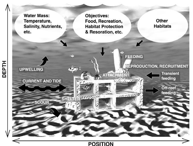 Items used in reef construction add vertical profile to the benthic environment.