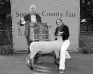 SONOMA COUNTY BRED & BORN CHALLENGE MARKET LAMBS Sponsored by Sonoma County Purebred Sheep Breeders Association Judge: Kyle Wood American System of Judging Cash Awards offered per class 1st 2nd 3rd