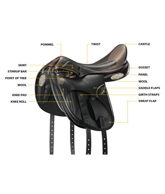 PRO University Module 1 YOUR HORSE INSIDE AND
