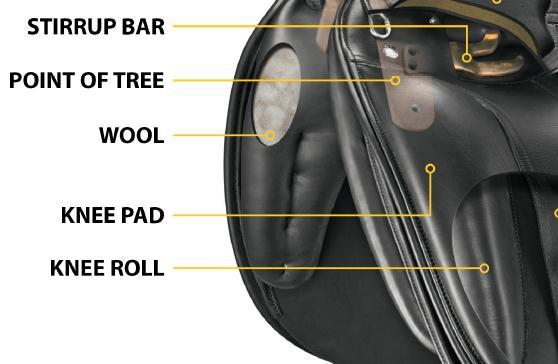 Point of Tree tree points are in the front of the tree and come down behind the horse s scapula IMPORTANT Tree points should