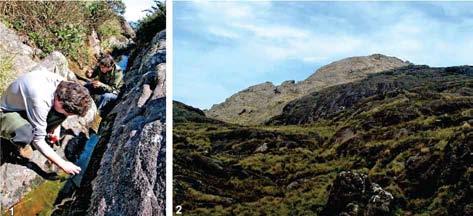 S. marins, a new species of black fly Mateus Pepinelli et al. 729 Figs 1, 2: Pico dos Marins (Marins Peak). 1: Type locality of Simulium marins n. sp.; 2: General view of the landscape at Pico dos Marins.