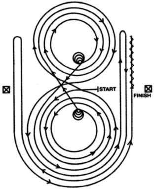 Stock Horse Reining Pattern #3 Mandatory Marker along Fence or Wall. The judge shall indicate with markers on arena Fence or wall the center of pattern. Ride Pattern as Follows: 1.