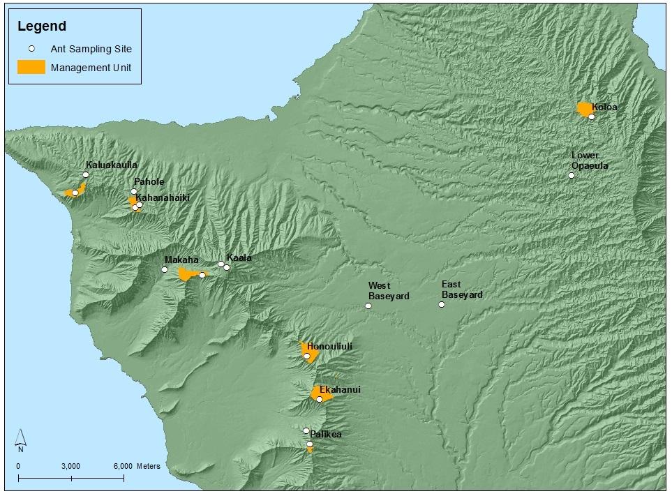 Figure 9: Location of Management Units and ant sampling sites. Species lists from annual ant surveys are shown in Table 4. Asterisks indicate new ants found during the most recent survey.