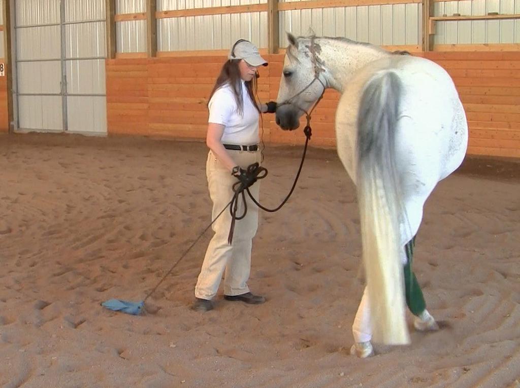 These exercises have been modified to follow biomechanical and classical principles. A cornerstone classical principle is that for a horse to move efficiently impulsion should come from back to front.