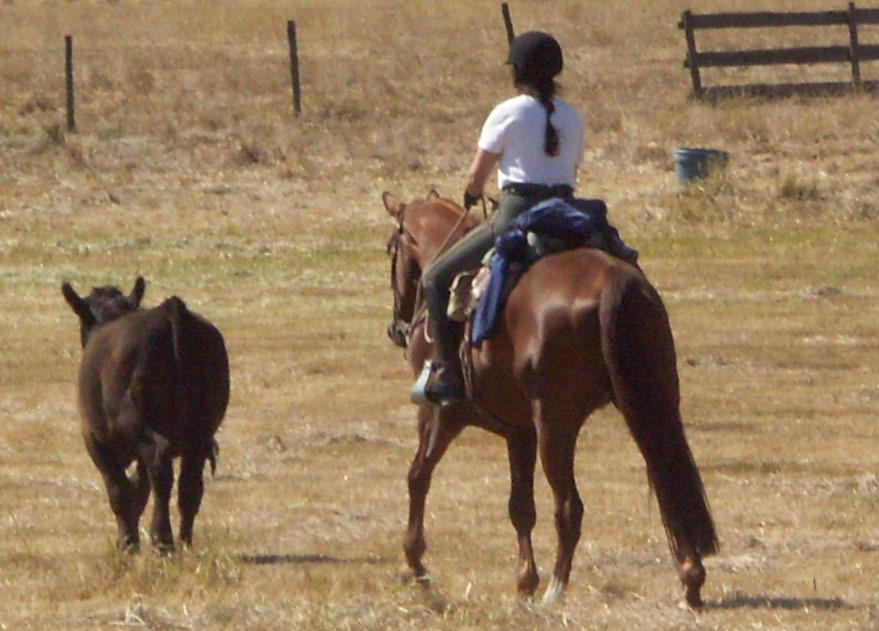 Karen Ososki - Refined Performance Horsemanship Born to a Montana rodeo family, Karen worked on cattle ranches before college.