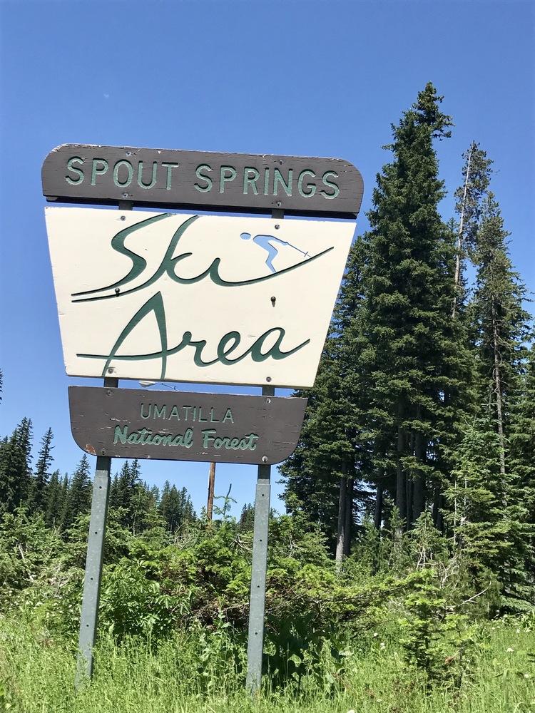 PROPERTY OVERVIEW Spout Springs, covering 1413 Acres of leased Forest Service land has been in continuous operation since the late 1920s.