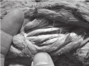 rope with a cut strand even though the rope was in otherwise good condition with only moderate surface abrasion.