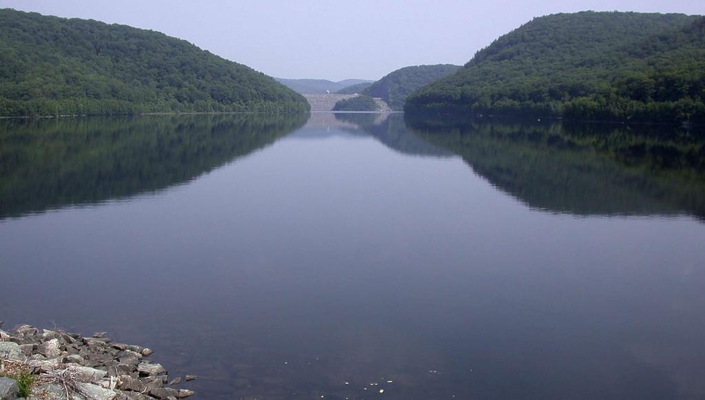 Deep-release water from the West Branch Reservoir through Goodwin Dam creates a unnaturally cold thermal environment that persists for 12-15 miles downstream, creating an excellent coldwater fishery