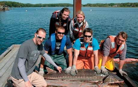4 Chapter 5 FISH OF THE SACO ESTUARY: River Channel and Tidal Marshes Figure 1 James Sulikowski, left, and student researchers pose with an Atlantic sturgeon measuring seven feet and one inch long