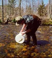 Connecticut River Atlantic Salmon Restoration Strategies (1998) Annual Targets