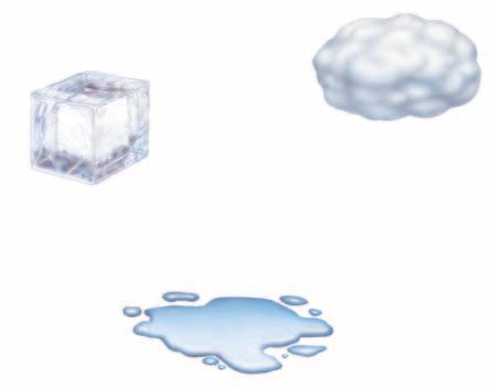 3 What You Will Learn Describe how energy is involved in changes of state. Describe what happens during melting and freezing. Compare evaporation and condensation.