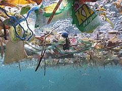 North Pacific Subtropical Gyre Great Pacific Garbage Patch- Good Morning America 2010 http://www.