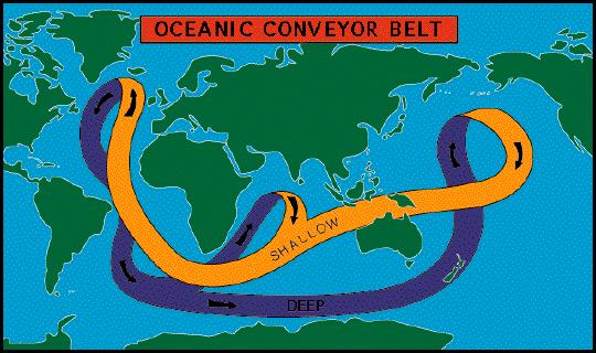 Surface and Deep-Sea Current Interactions Giant convection cell circulating around the Earth s