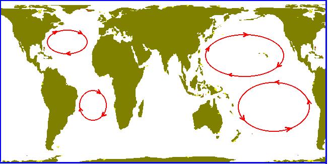 Continents and Coriolis Effect steer ocean currents Causes them to move in