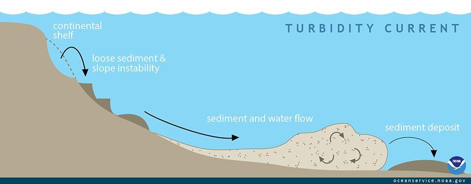 Turbidity Current: Fast current down continental slope Up to 80km/hr Cloudiness due to silt, mud, and