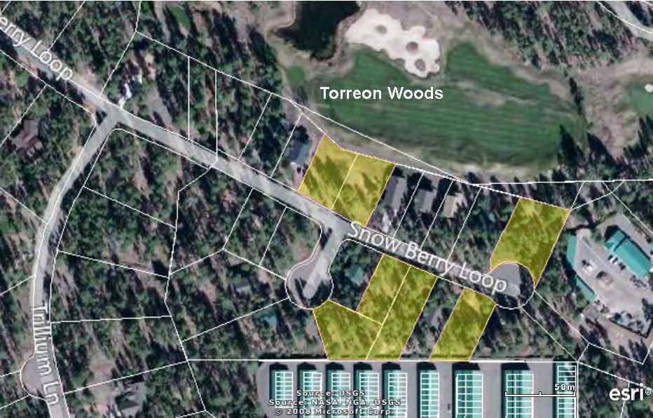 Torreon Woods - Site